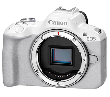 H25[6784E] キヤノン Canon EOS 50D ボディ H25[6784E] キヤノン Canon EOS 50D ボディ | デジタル一眼レフ